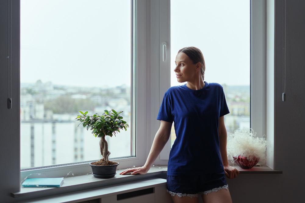 Hoffman Estates Bay & Bow Windows